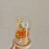 清新陽光| 永生玫瑰玻璃罩