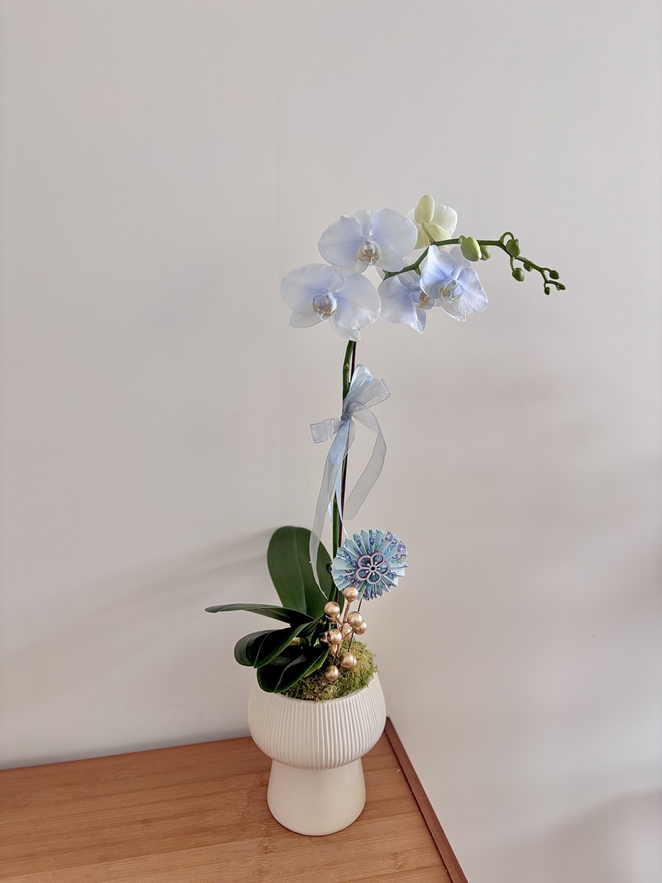 IMG_2224 大 鮮花|清新風單隻蘭花