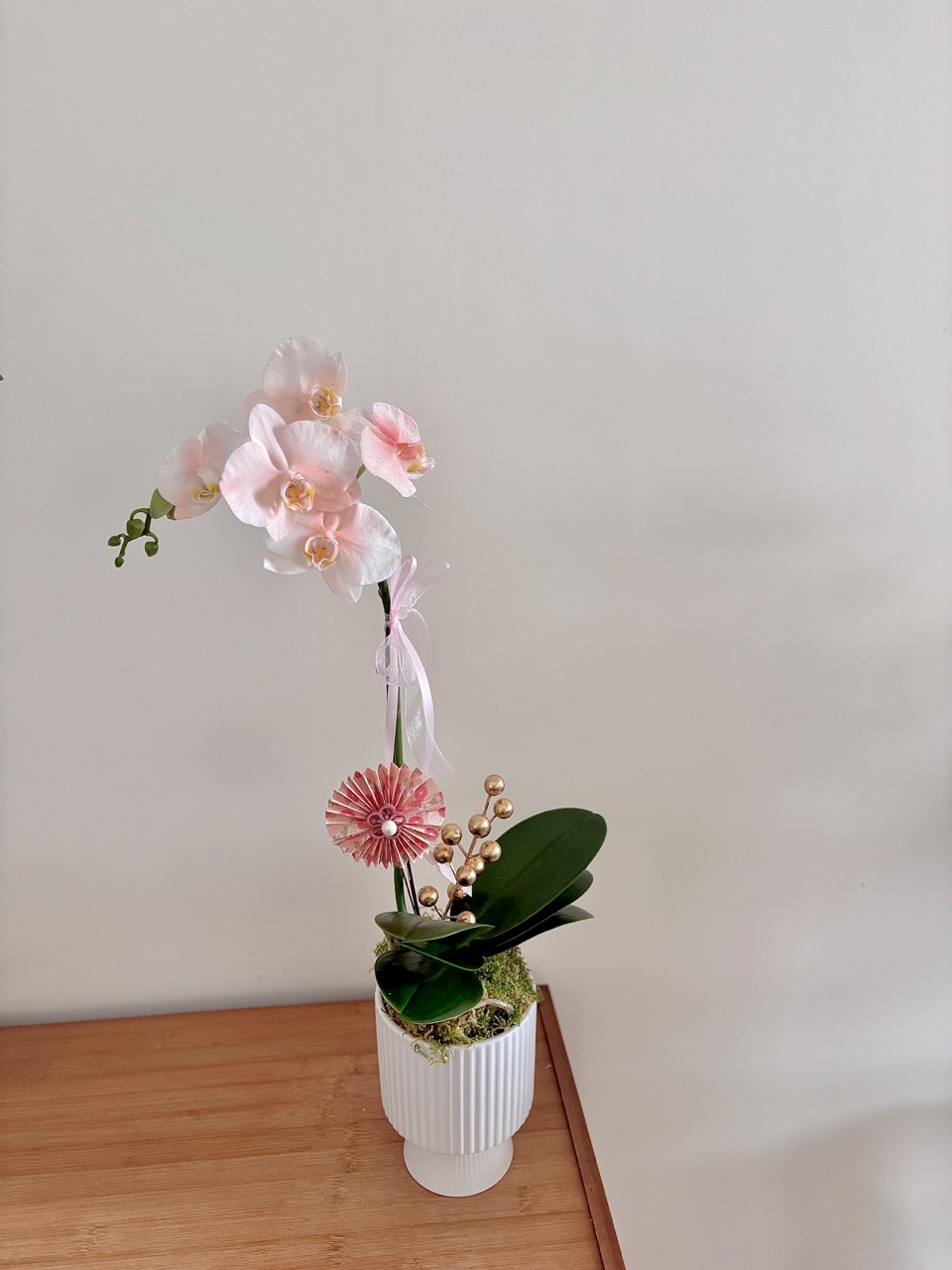 IMG_2229 大 鮮花|清新風單隻蘭花